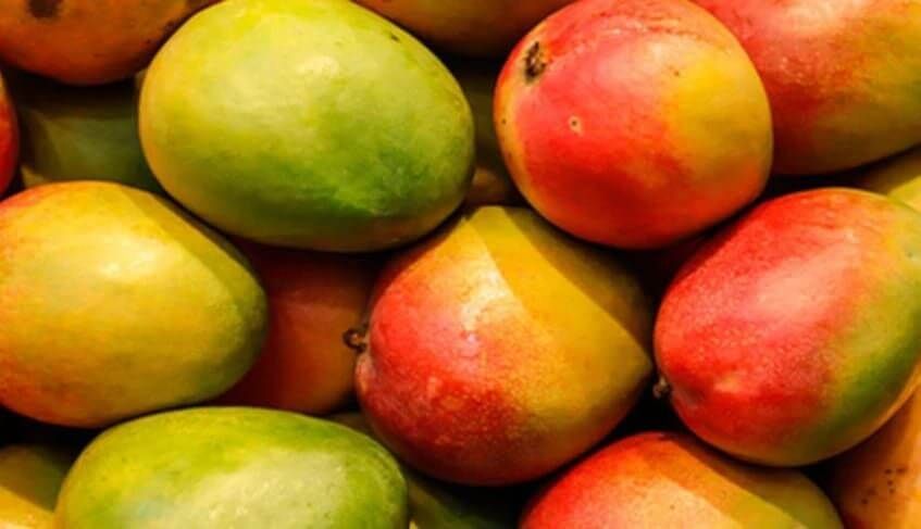 Mango Depolama Şartları