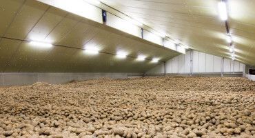 Patates ve Soğan Havalandırma Soğuk Hava Deposu Tesisleri | ADK Proje