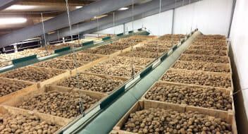 Patates ve Soğan Depoları | ADK Proje